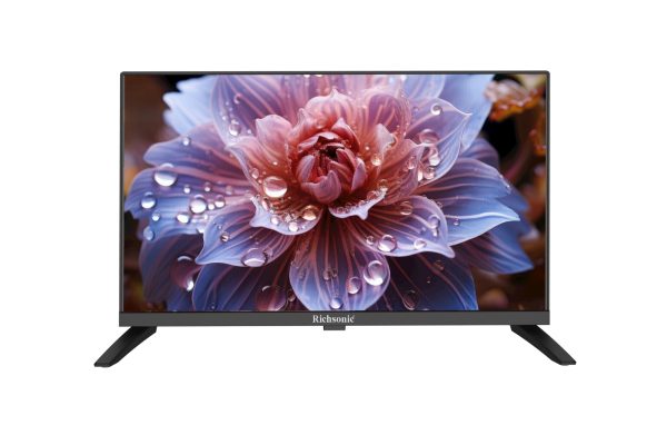 RSTV-879 - Image 2